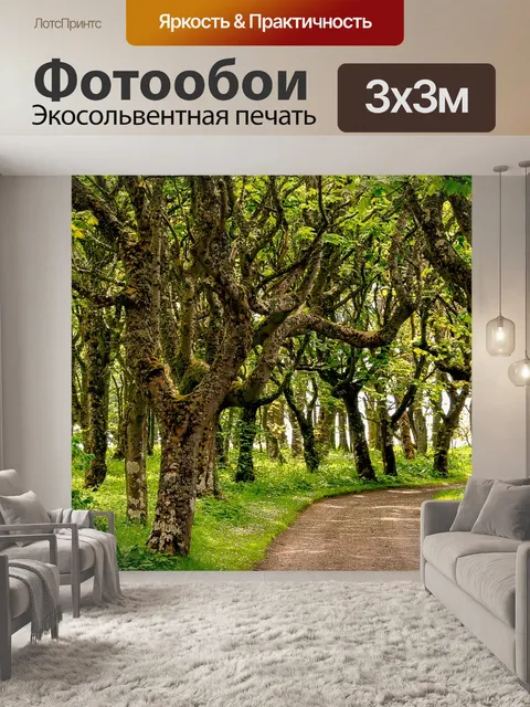 Фотообои Дорожка