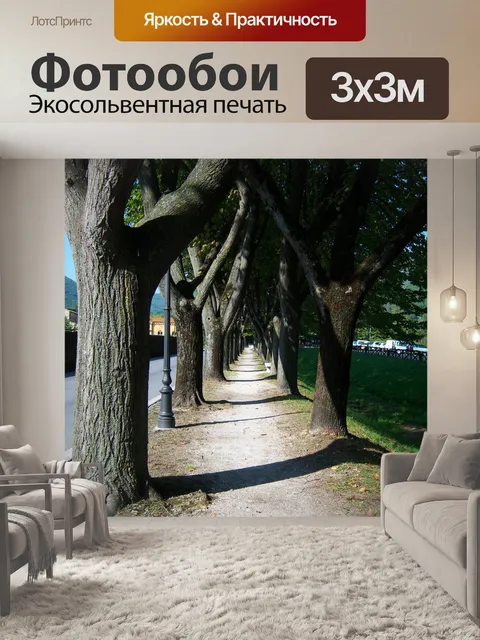 Фотообои Деревья