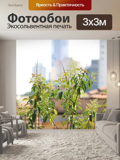 Фотообои Каменные джунгли