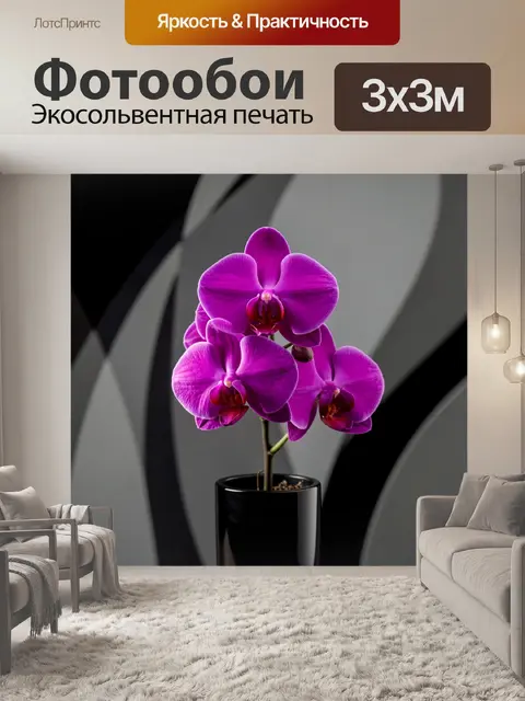 Фотообои Фиолетовая орхидея в черном горшке