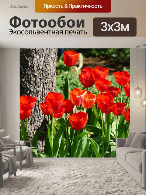 Фотообои Тюльпаны