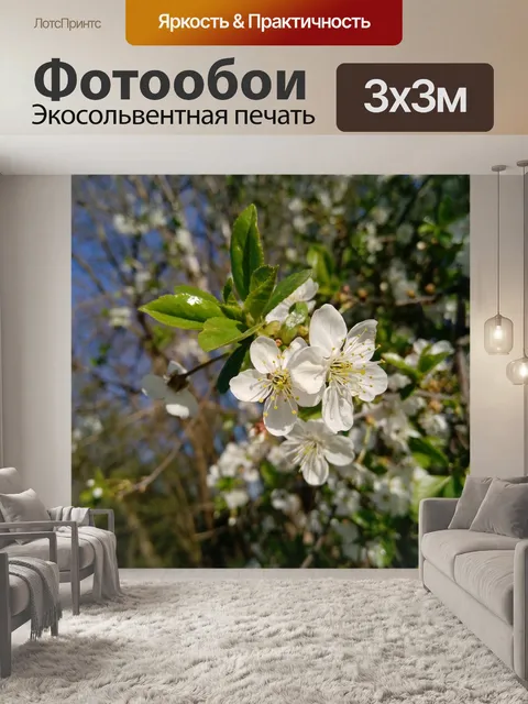Фотообои Цветы