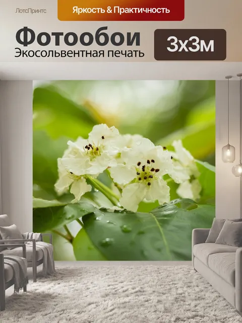 Фотообои Цветы