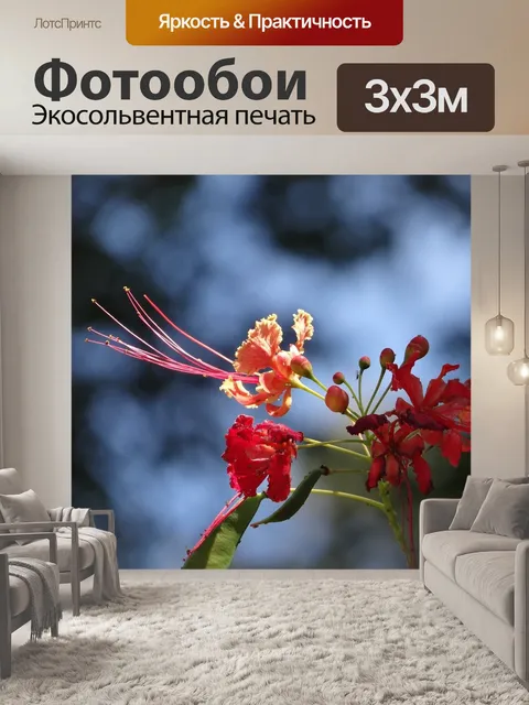 Фотообои Цветок
