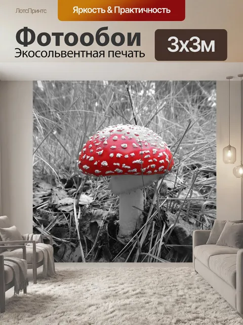 Фотообои Гриб