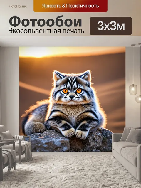 Фотообои манул, сидящий на скалистом фоне монголии, с яркими глазами, отражающими золотые лучи заката