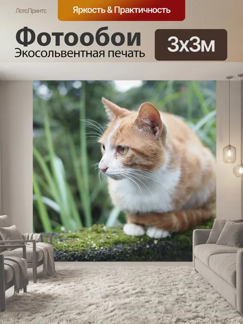 Фотообои Кошка