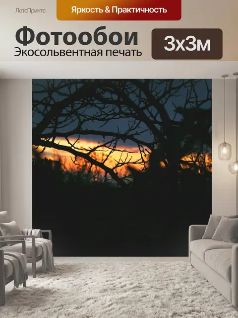 Фотообои Деревья