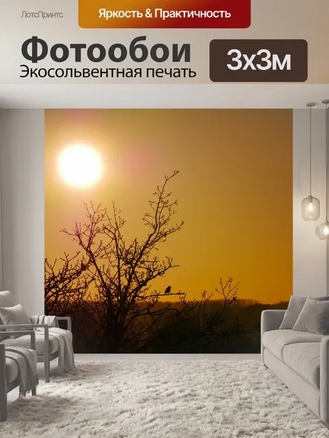 Фотообои Солнце