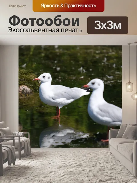 Фотообои Птицы