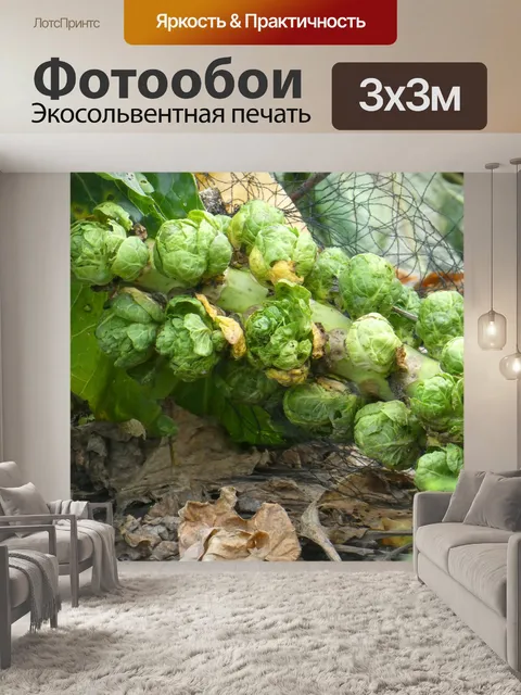 Фотообои Ростки