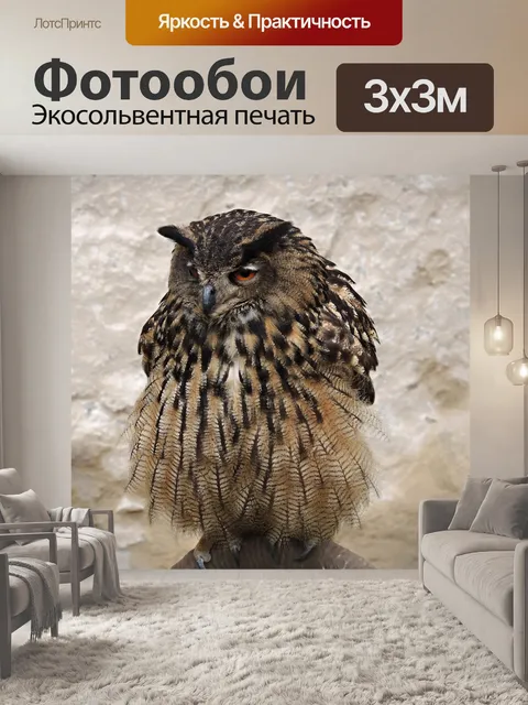 Фотообои Птица