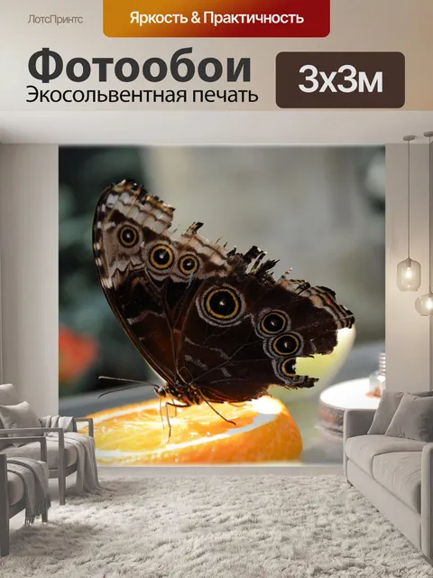 Фотообои Бабочки 03