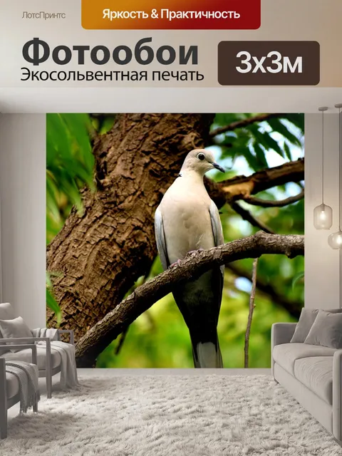 Фотообои Птица