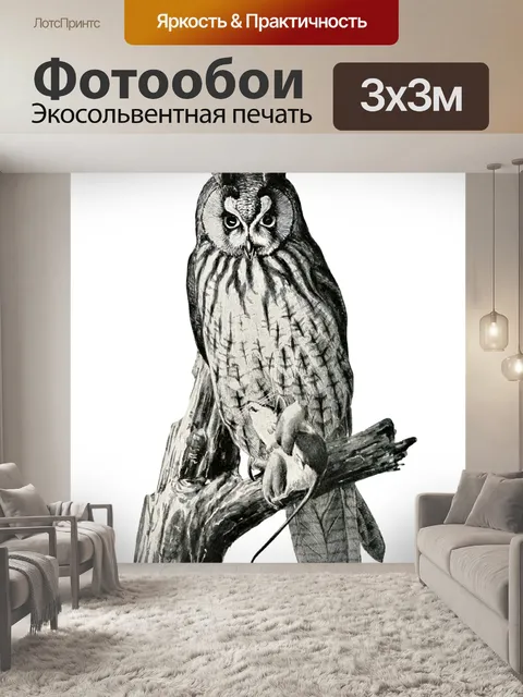 Фотообои Ушастая сова
