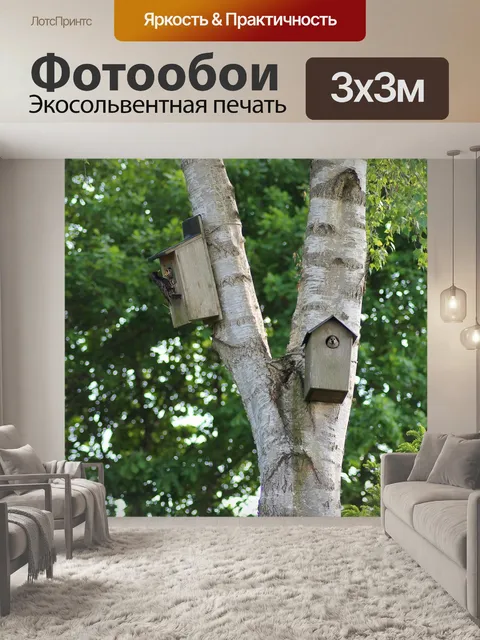 Фотообои Птицы