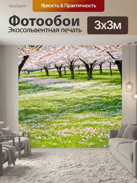 Фотообои с сакурой на поле, устеленном лепестками, когда ветер играет с цветами, создавая атмосферу спокойствия и…