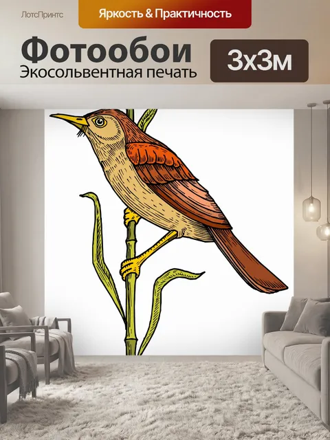 Фотообои (тропических) птицы