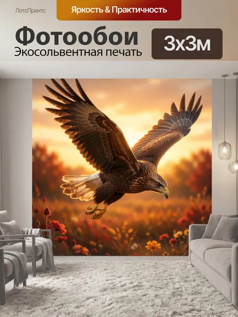 Фотообои Парящий хищный орёл над полем