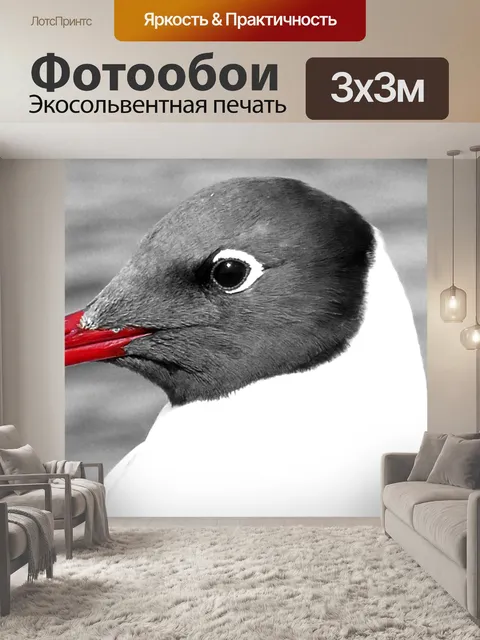 Фотообои Птица
