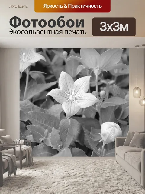 Фотообои Цветы