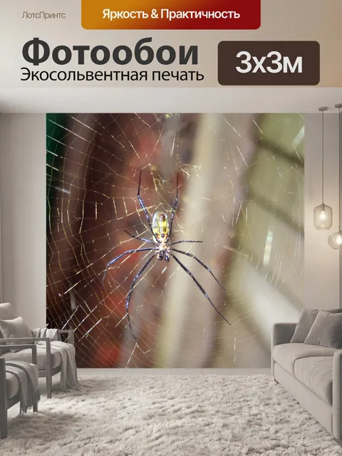 Фотообои Golden Orb паук