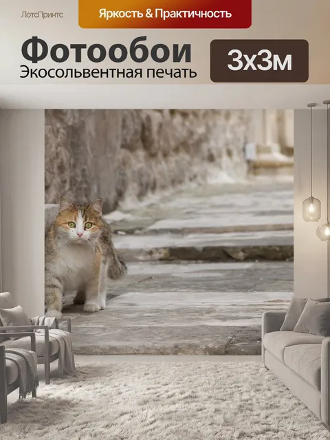 Фотообои Кошка