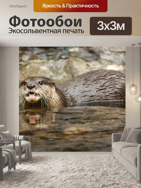 Фотообои Животное