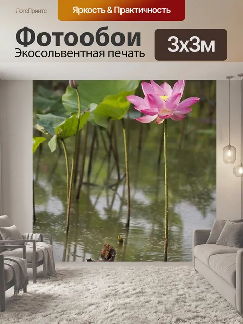 Фотообои Цветы