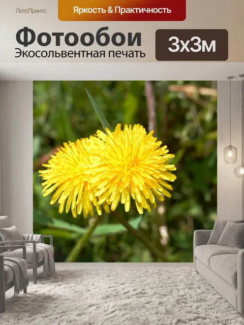 Фотообои Одуванчик