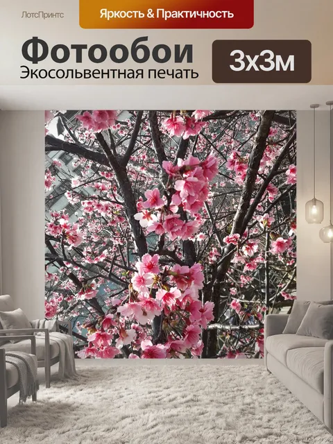 Фотообои Тайвань