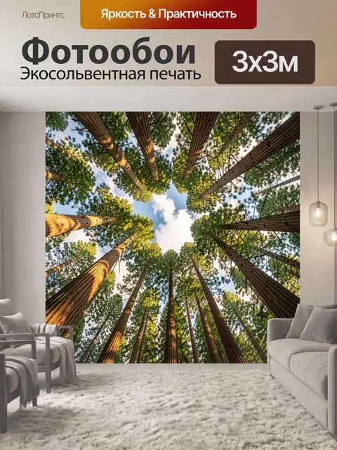 Фотообои Высокие сосны в небе