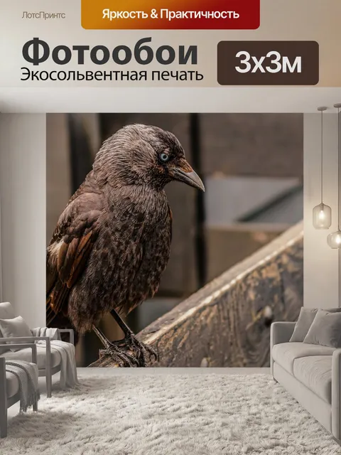 Фотообои Ворона