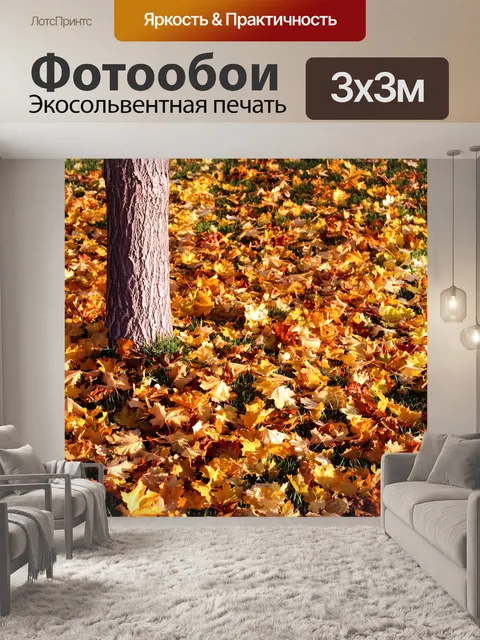 Фотообои Ожидание Rake