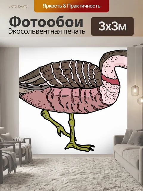 Фотообои (тропических) птицы
