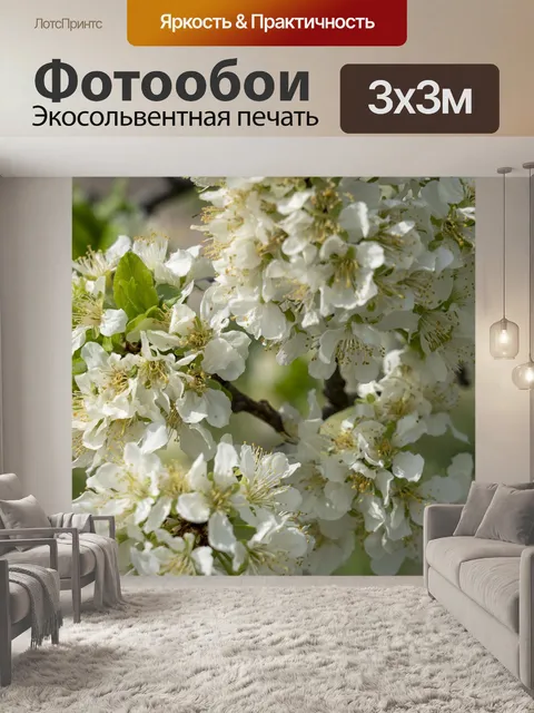 Фотообои Цветы
