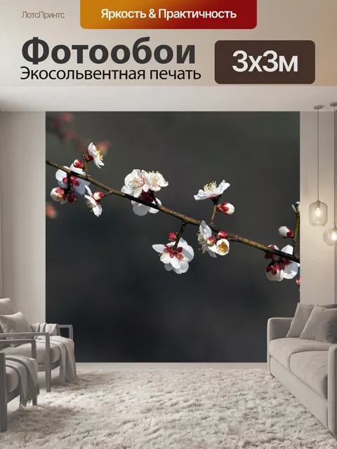 Фотообои Цветение сливы