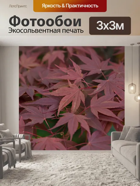Фотообои Листья