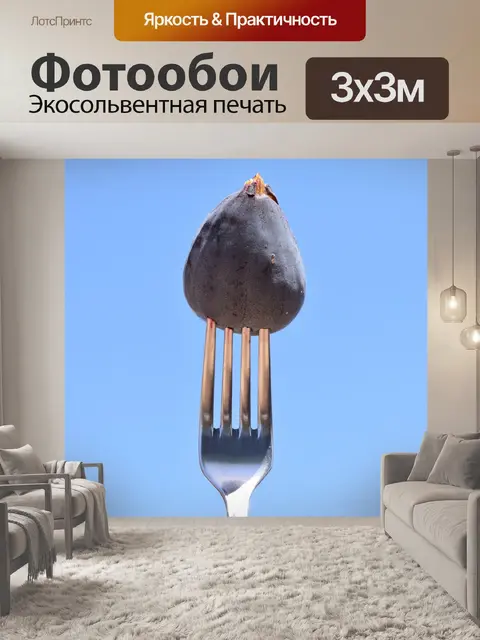 Фотообои Рис