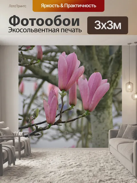 Фотообои Цветы магнолии