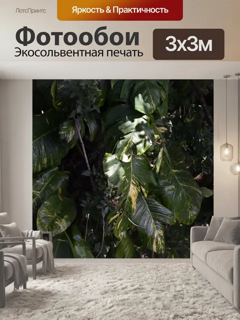Фотообои Тропический лес фон