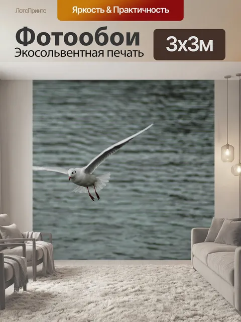 Фотообои Чайка