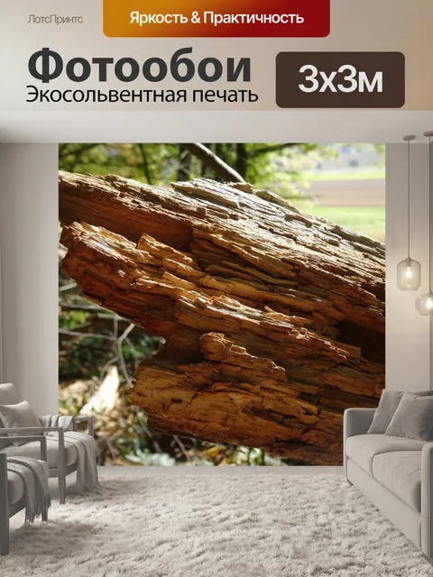 Фотообои Лес