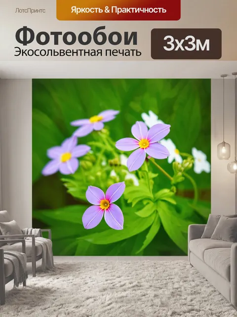 Фотообои цветы в стиле минимализм, отражающие утонченность и простоту природы