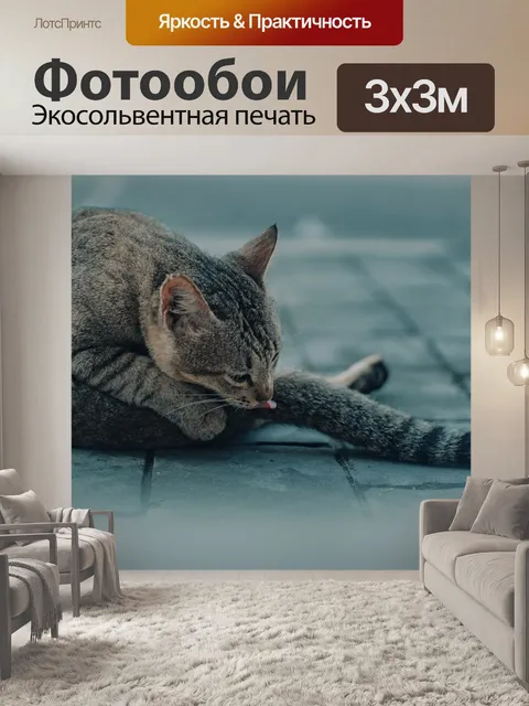 Фотообои Кошка