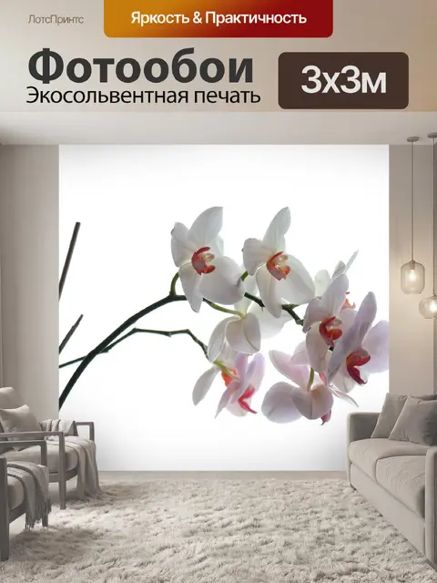 Фотообои Природа