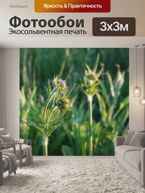 Фотообои Луг
