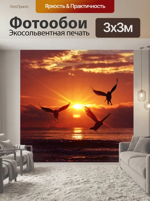 Фотообои Восход солнца