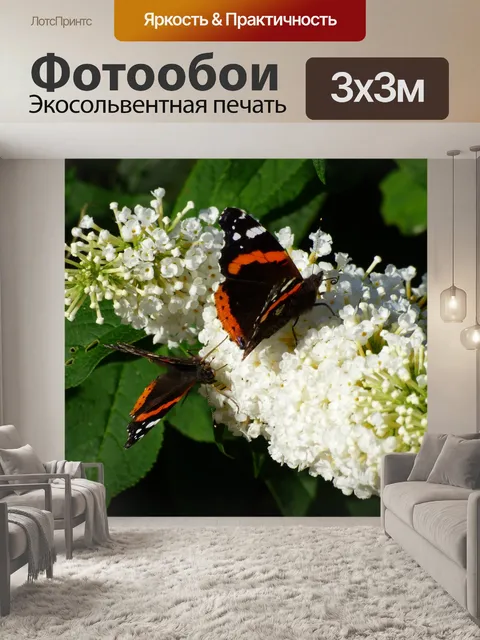 Фотообои Бабочка на цветке