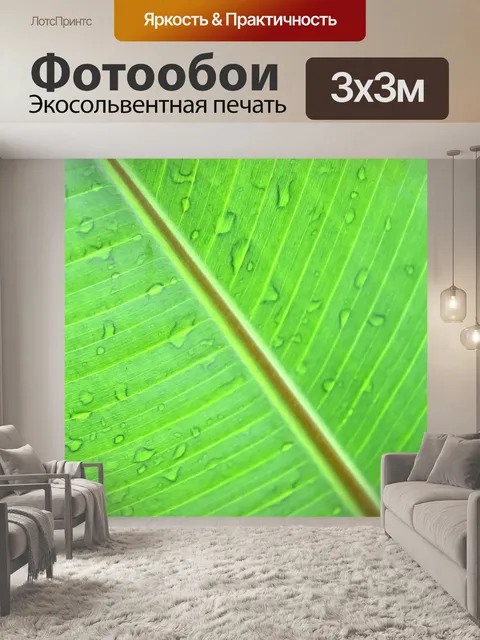 Фотообои Зеленый лист банан